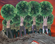 BurningWoodSmall Lees het verhaal Hier