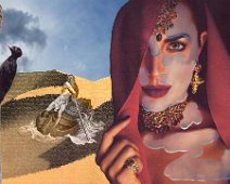 CharonsWoodpeckerSmall Lees het verhaal Hier